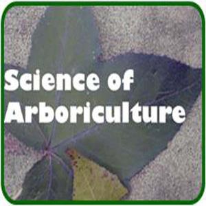 best practices for rigging in arboriculture pdf